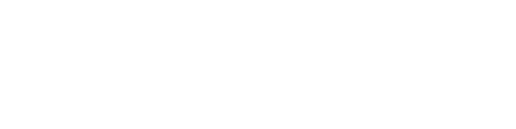 Zavior Logo